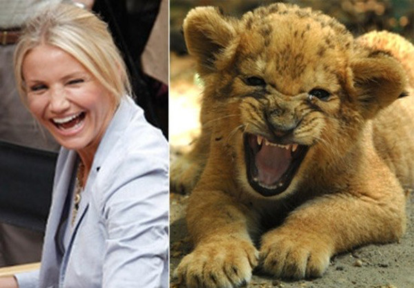 Tranh vui: Những khoảnh khắc giống động vật của sao Hollywood