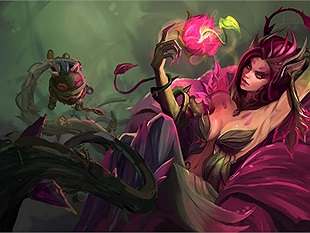 Zyra đi rừng - Sức mạnh hủy diệt mà không phải ai cũng biết 