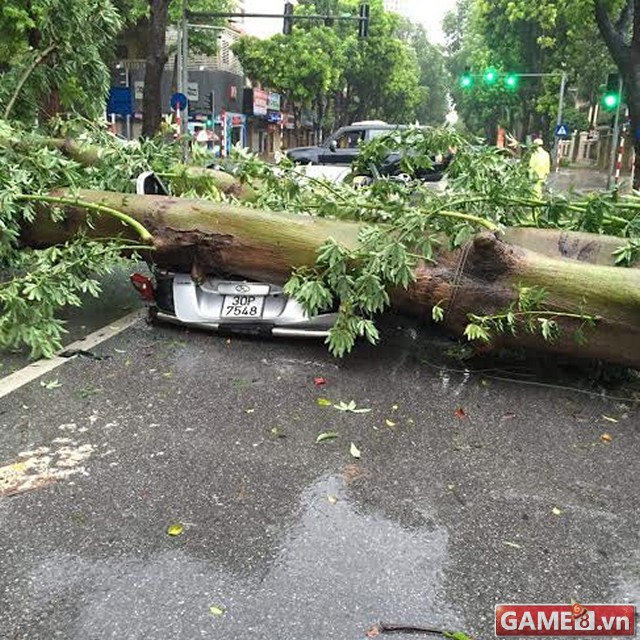 Mưa bão lớn tại Hà Nội, cây đổ đổ khắp các con đường lớn nhỏ