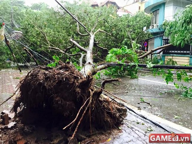 Mưa bão lớn tại Hà Nội, cây đổ đổ khắp các con đường lớn nhỏ
