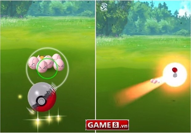 kỹ năng bắt pokemon