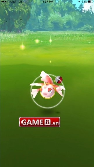 kỹ năng bắt pokemon