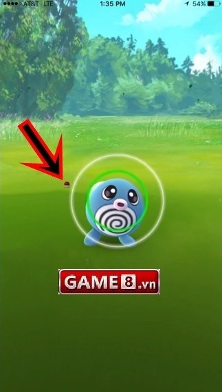 kỹ năng bắt pokemon