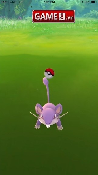 kỹ năng bắt pokemon