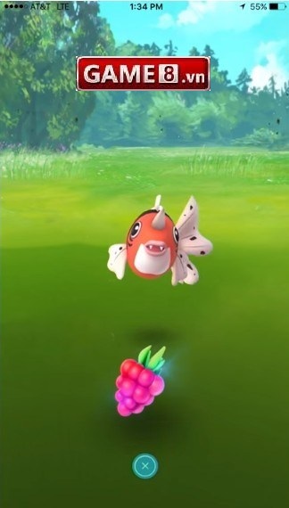 kỹ năng bắt pokemon