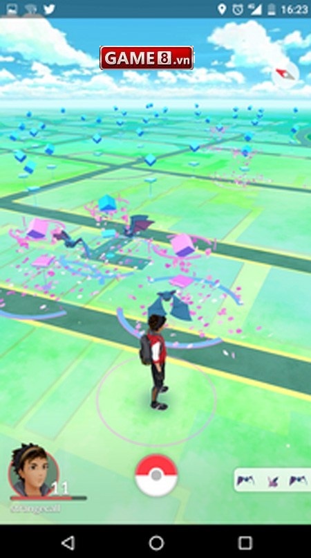 kỹ năng bắt pokemon