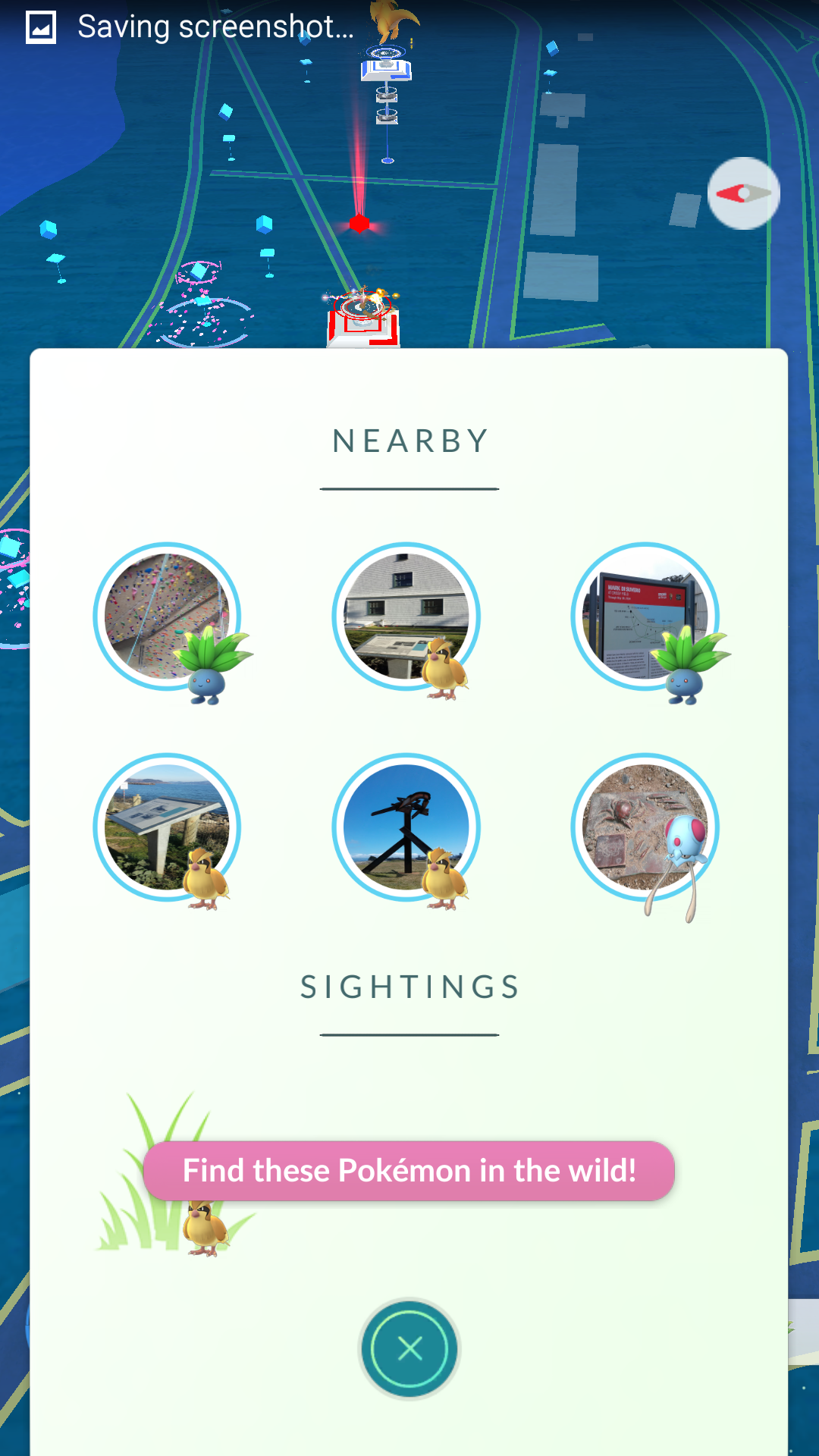 pokemon-tracker