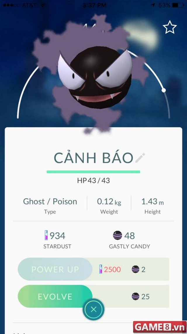 pokemon-19