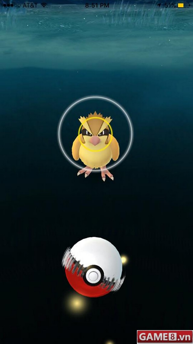 pokemon-22