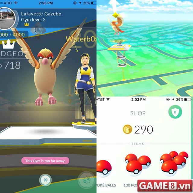 pokemon-13