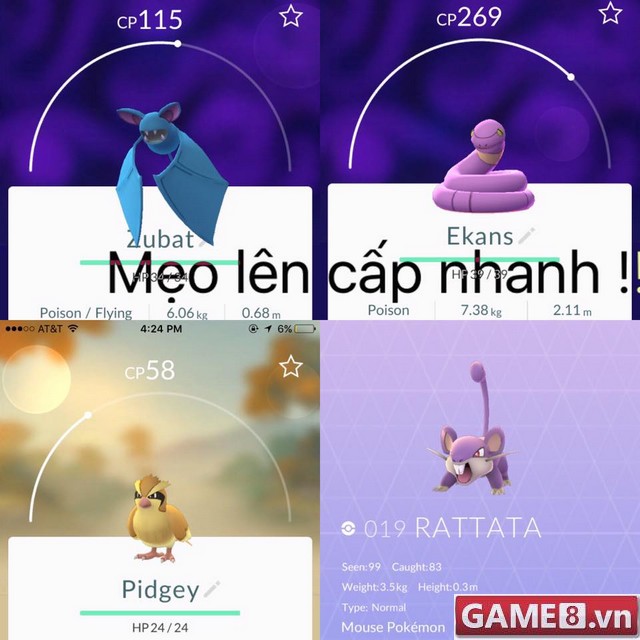 pokemon-14
