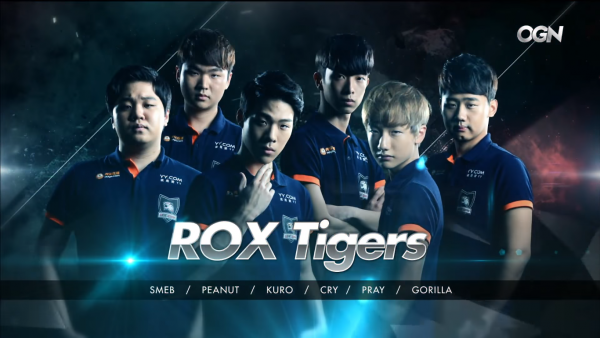 Hạt giống ROX Tiger