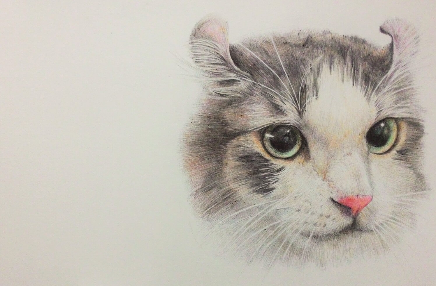 Vẽ bằng bút chì là một công việc rất thú vị và thư giãn. Chỉ cần có chút kiên nhẫn và tình yêu với nghệ thuật, bạn có thể sở hữu những hình vẽ mèo đẹp và tuyệt vời như những gì bạn ước mơ. Hãy cùng xem bức tranh đáng yêu này được tạo ra như thế nào nhé!