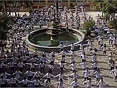 Bài tập thể dục lạ mắt của "trường người ta": Học sinh toàn trường vừa nhảy vừa múa võ