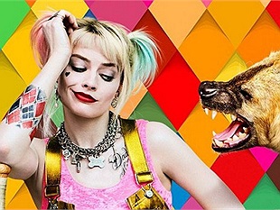 "Harley Quinn" Margot Robbie bật mí về việc chia tay Joker