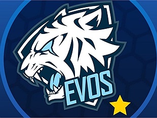 LMHT: Thành viên kì cựu của EVOS Esports lên tiếng xác nhận trước nghi vấn Bạch Hổ giải thể