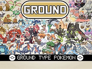 Điểm qua 5 Pokemon hệ Đất phổ biến nhất ở Hoenn