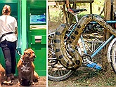 Những kiểu chống trộm siêu "cục súc" đến đạo chích cũng phải chào thua