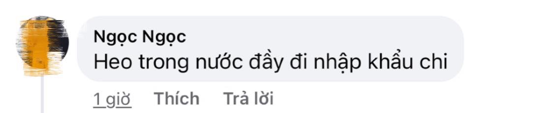 Cựu thành viên HKT ủng hộ 28 tấn thịt giá hơn 4 tỷ đồng nhập về từ Ba Lan, dân mạng thắc mắc: Sao không ủng hộ thịt nước nhà