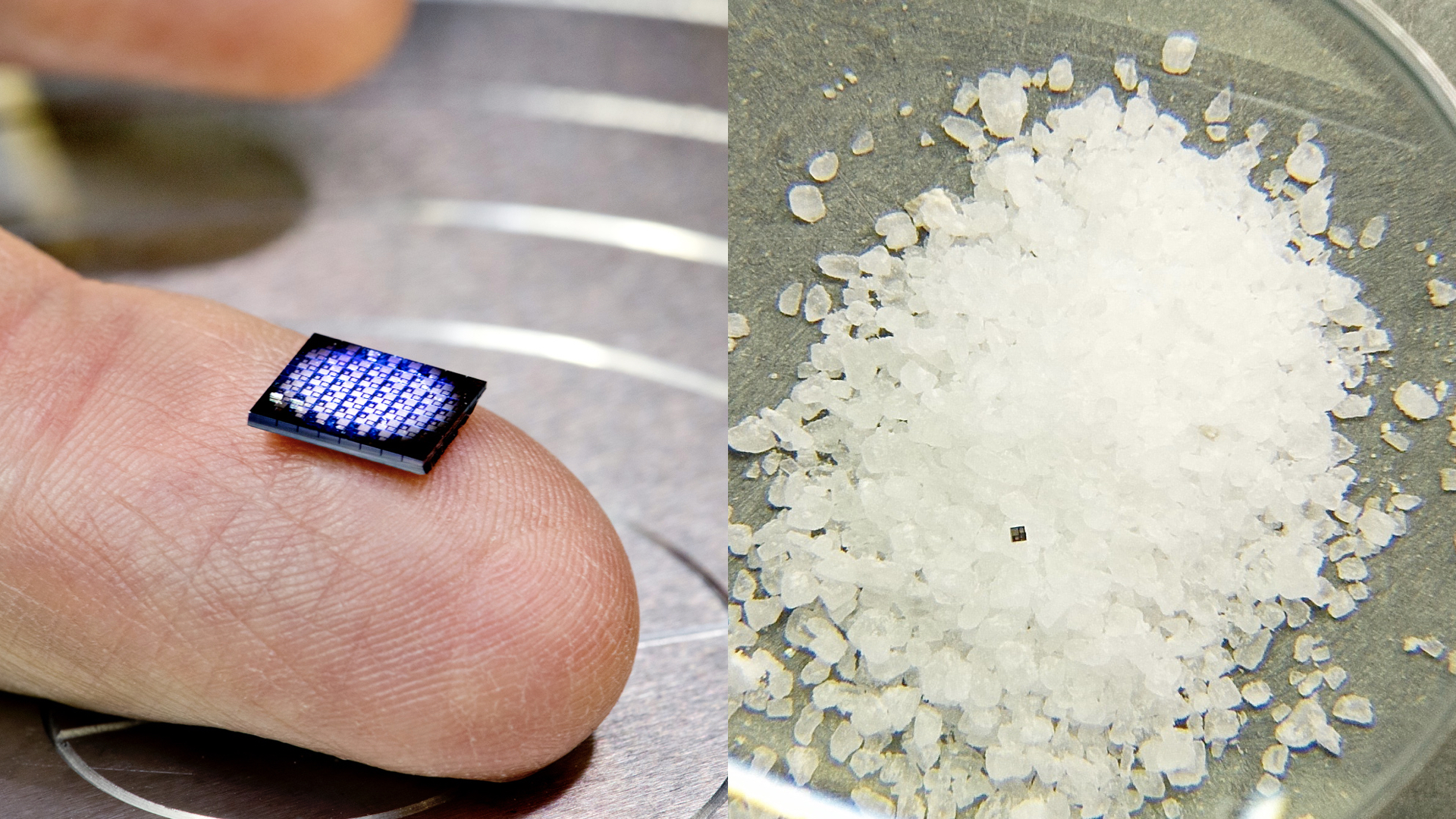 Tương lai các nhà khoa học có thể sáng chế ra chiếc camera siêu nhỏ bằng hạt cát