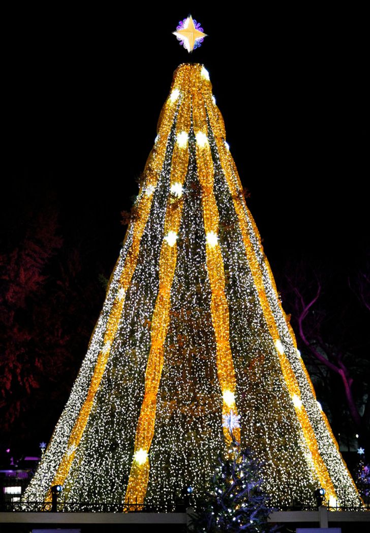 cây thông Noel đẹp nhất thế giới