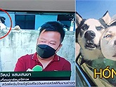 10 tình huống chứng minh chó là "thánh hóng chuyện"!