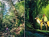 15 bức ảnh tuyệt đẹp về khu rừng Shiratani Unsuikyo - Bối cảnh anime "Princess Mononoke"