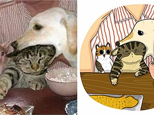 Sẽ ra sao nếu các meme huyền thoại về các boss được minh hoạt bằng tranh?