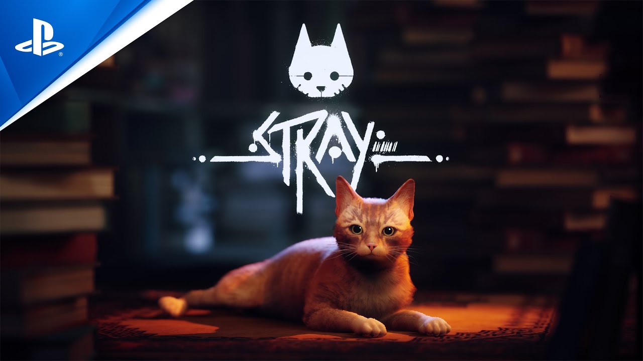 Tựa game được game thủ yêu thích nhất trên Steam có nội dung xoay quanh 1 con mèo [HOT]