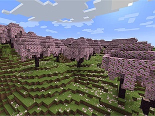 Hướng dẫn cách tìm rừng anh đào trong Minecraft 1.20