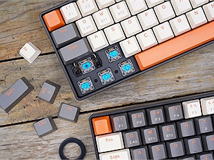 Đánh giá EK368L, phím cơ chạy pin gọn nhẹ phối màu đẹp dành cho game thủ