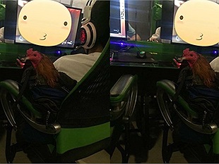 Cạn lời game thủ mẹ sai đi tìm gà, bắt được còn đem cả gà vào quán net quẩy nốt trận game