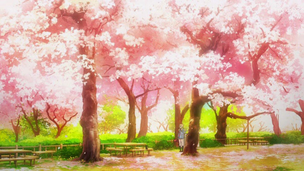 Top 100+ Hình nền hoa anh đào anime cực đẹp nhất hiện nay 34 | Hoa anh đào, Phong  cảnh, Hình nền hoa